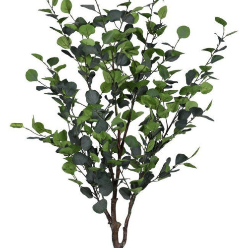 EUCALYPTUS zöld művirág