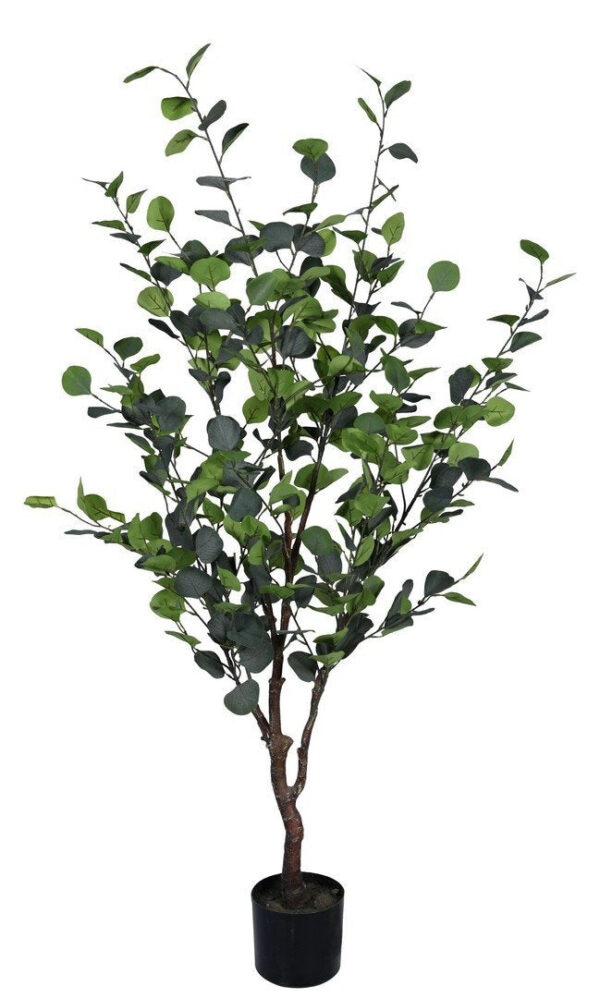 EUCALYPTUS zöld művirág