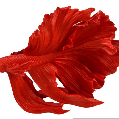 CROWNTAIL piros 3d hal dekoráció 35cm