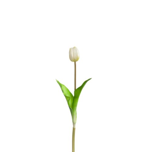 LEONARDO SAVONA tulipán 36cm