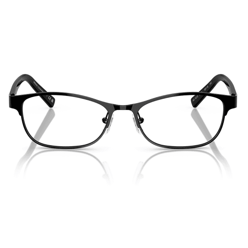 AX1010 6000
